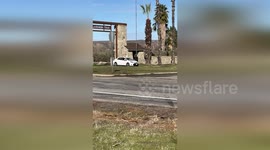 Protester arrested for replacing United States flag with Mexican