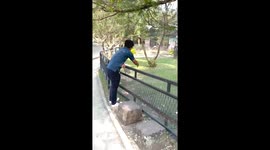 Caring flamingo hugs zoo visitor in Thailand