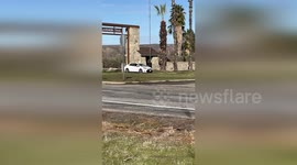 US: Woman Arrested After Replacing US Flag With Mexican Flag at Hart Park