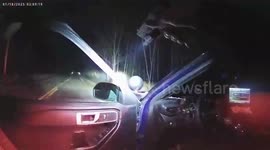 US: Deputies Pull Two People, Three Dogs From Fiery Wreck After Chase