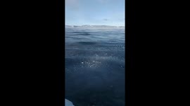 The water in Baikal is very clean, but now it looks a little white, because of pieces of the first cracked ice.