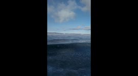 The blue waves rolling pieces of ice to the shore from another side of lake.  There is not so windy and young ice arise, but been broken by strong wind