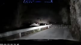 Motorist in China surprised by wild panda taking stroll on road at night