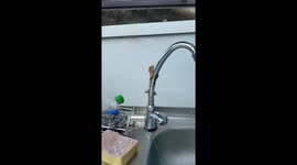 In Thailand nature comes very close to our homes in areas outside the cities.