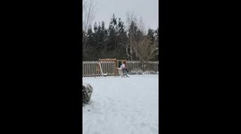 Little Girl Takes A Tumble Sliding Into Snow
