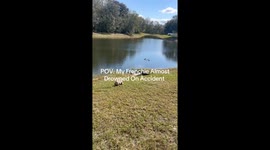 Exclusive- Papa to the rescue: Frenchie's Orlando lake mishap