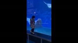 Chinese boy enjoyed unforgettable encounter with beluga whale in Beijing aquarium