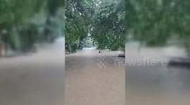 Philippines: Severe Flooding Hits Puerto Princesa City After Heavy Rainfall