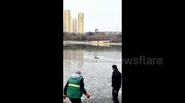 Heroic scenes as tired dog rescued from frozen lake in China