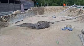 Fishermen catch 14ft crocodile stalking village in Indonesia