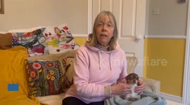 Pensioner's dog 'hit by cyclist' - leaving her with £1.3k vets bill