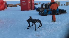 China: Six-legged robot dogs take on diverse roles in China