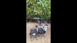 Dog carries leaf in its mouth to 'pay for food' on the beach