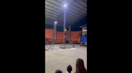Circus performer crashes while balancing on ladder