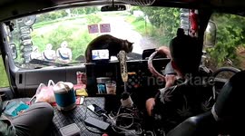 Back seat purrr-senger! Pet cat climbs onto fan in truck cabin