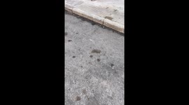 Oddly Placed Pole Looks Like Ingrown Hair