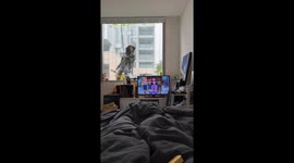 Exclusive- Window cleaner surprise brings laughter and awkward moments