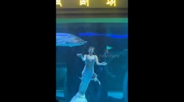 Woman Viciously Attacked by a Sturgeon in Chinese Aquarium! she is okay