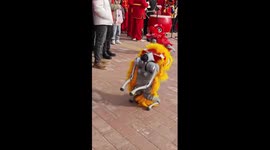 Robot dogs extend Chinese New Year greetings