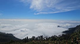 Kodaikanal Hills in South India Enshrouded in a Majestic Cloud Blanket, Leaving Tourists Spellbound