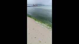 Idyllic Boracay Island beach turns green from algal bloom