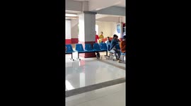 Slippery customer! Wild otter sparks chaos as it runs through police station