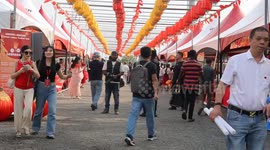 Ghanaian president joins Chinese community to celebrate Lantern Festival