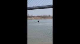 Hero horse rider wades into water to rescue drowning man