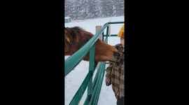 Girl reluctantly shares kiss with keen horse