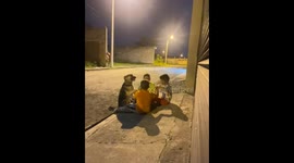 Boys Include Dog In Their Friendship