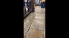 Rats On The Look Out