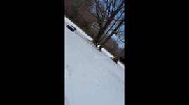 Chicken Protests Snows by Tackling Owner