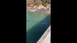 Hero police officer swims into river to save drowning woman in China