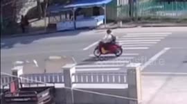 Motorcycle rider sent flying when he crashes into cow