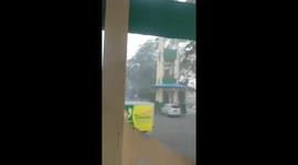 Electricity substation explodes sending tree crashing to the ground
