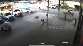 Toddler survives when car runs over him outside shop