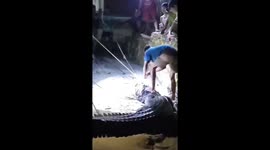Crocodile caught after killing three villagers in Indonesia
