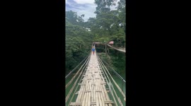 Rickety wooden bridge across river leaves tourists with wobbly legs
