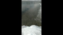 This is one of the many siberian rivers.  they are all similar. The same clean and fast.