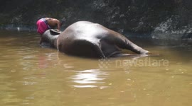 Sri Lanka: Daily Life in Colombo