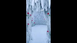 Heart-shaped ice sculpture adorned with roses on display in NE China