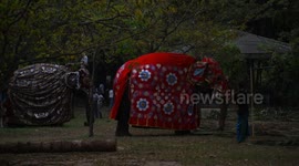 Sri Lanka: Nawam Maha Perahara in Colombo, Sri Lanka
