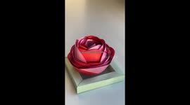 Exclusive- From toilet roll to infinity rose: Viral 14 MILLION views Valentine’s DIY sensation