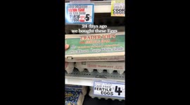 Exclusive- Trader Joe’s surprise: Woman hatches chicks from store-bought eggs