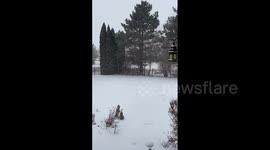 US: Winter Storm Brings Snow To Illinois