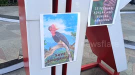 Artist and activist Wanggi Hoed takes action to save the ivory hornbill in Bandung