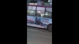 Stray bull boards a BUS an rampages through the aisle