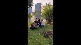 Wild monitor lizards chill with tourists at park in Bangkok