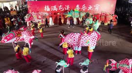 Int'l students enjoy fish-shaped lantern performance in E China
