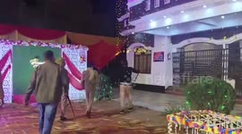Uninvited guest! Leopard enters wedding venue, injures officer during capture in India